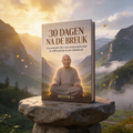 30 DAGEN NA DE BREUK